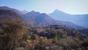 A mountainous landscape covered by oak woodlands and chaparral, some of which is burned by fire.