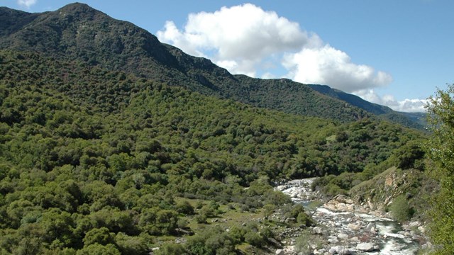 Foothills vegetation includes oak woodlands and chaparral shrublands.