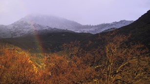 Rainbow over the foothills 