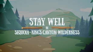 An animated title screen showing the words 