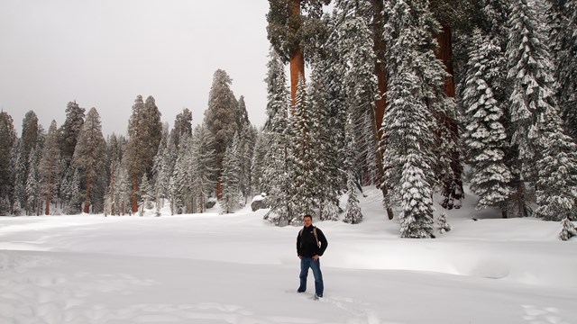 A man stands at the edge of a snow-covered meadow