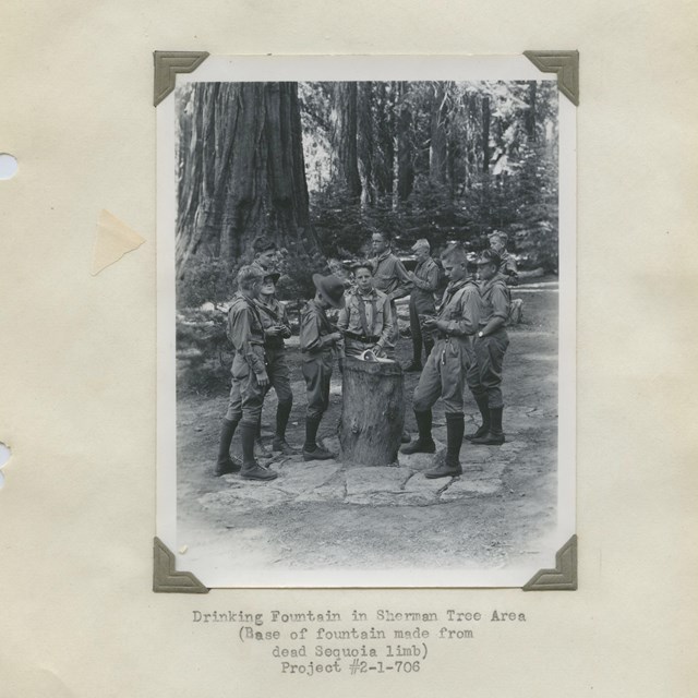 A scan of a historic image of the civilian conservation corps gathered in the giant forest.