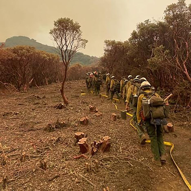 Several wildland firefighters hike single file along a fire line, carrying equipment.