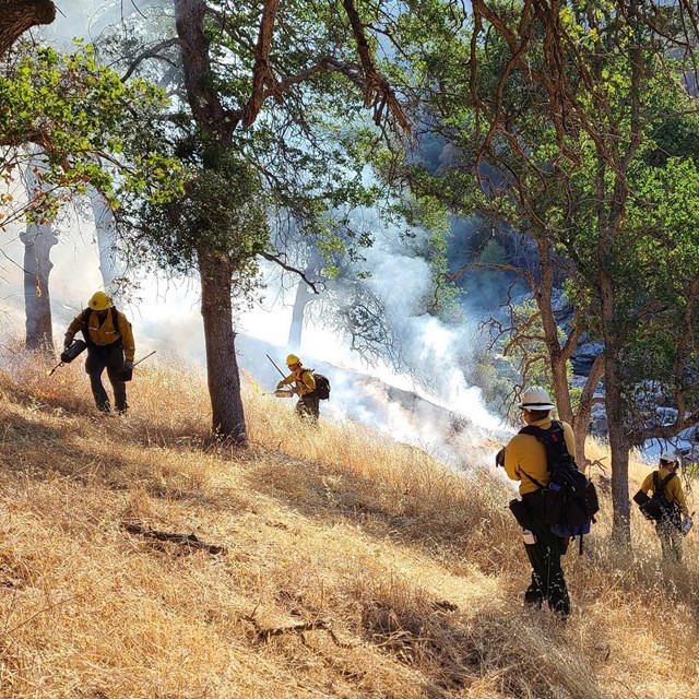 Park fire fighters begin prescribed burn on a grassy slope