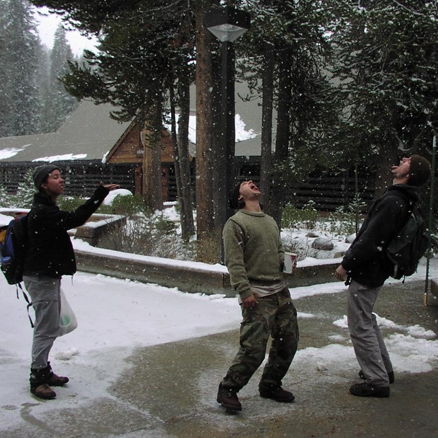 Three people stand outside in a light snowfall with their mouths open catching snowflakes.