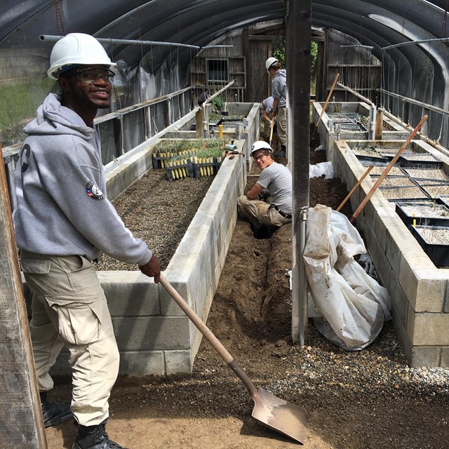 AmeriCorps volunteers help in the native plant greenhouse.