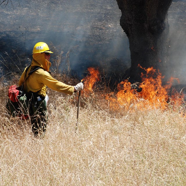 A firefighter stands near a burning slope