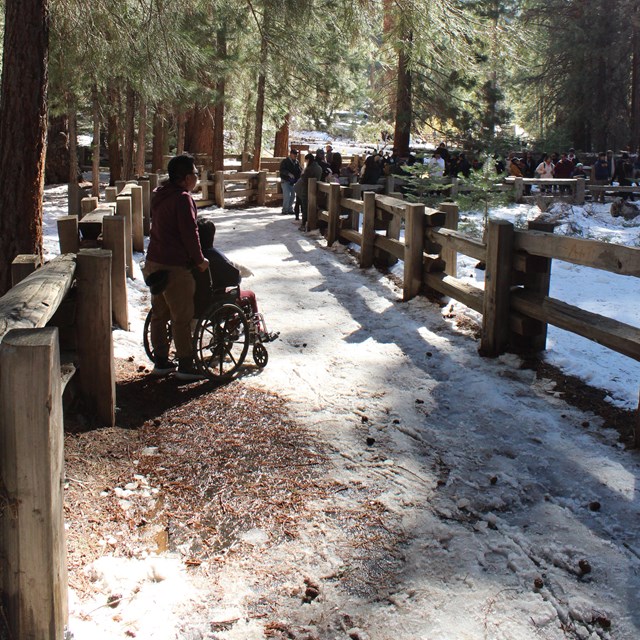 A person pushing another person in a wheelchair pauses a moment on a snowy trail.