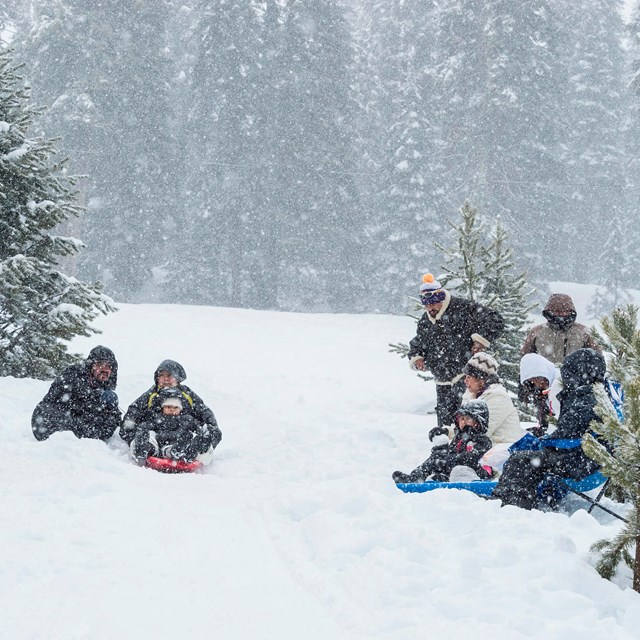 A family plays in the snow. Photo by Alison Taggart-Barone.