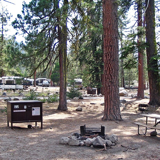 A tent site at Lodgepole Campground