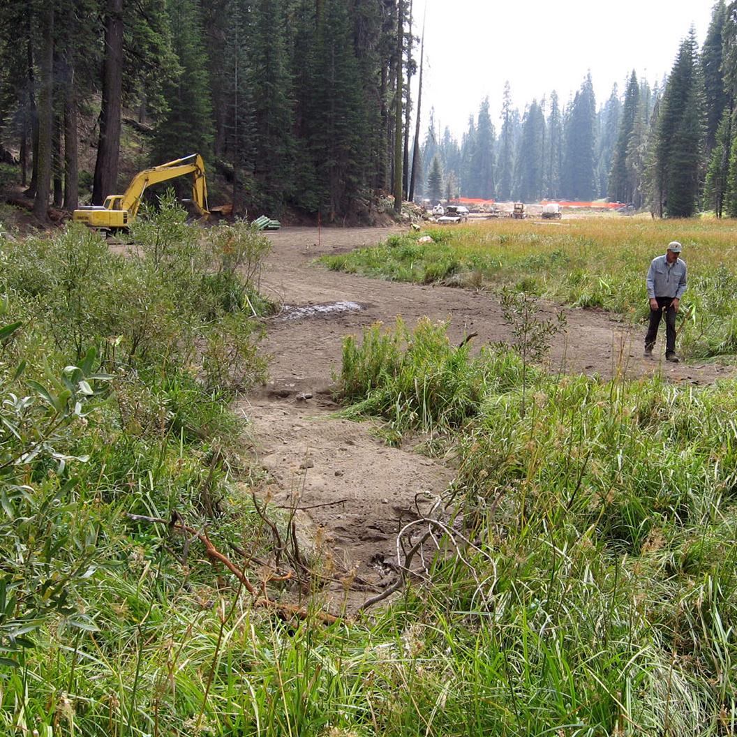 Meadow restoration using heavy equipment.