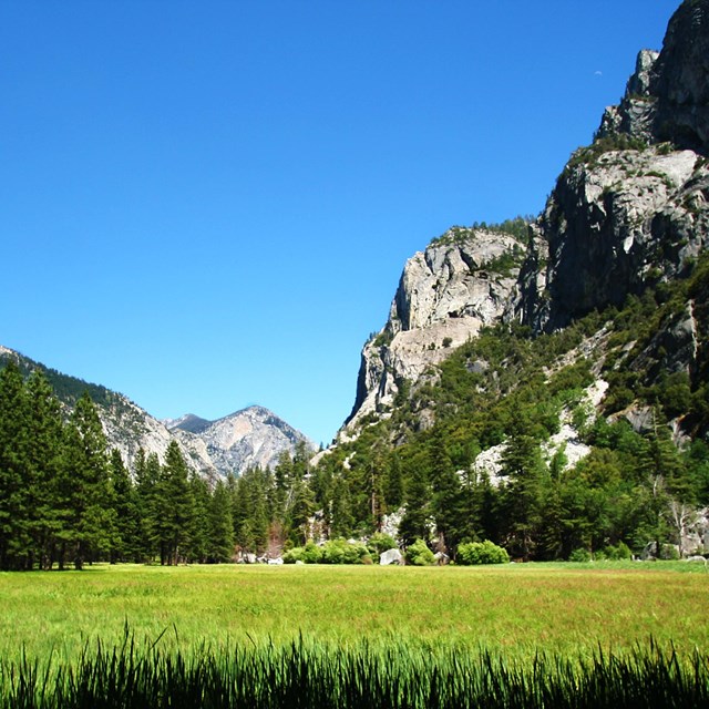 Zumwalt Meadow lies along the floor of the spectacular Kings Canyon in Cedar Grove.