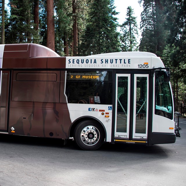 A Sequoia Shuttle large bus. Photo by Alison Taggart-Barone.