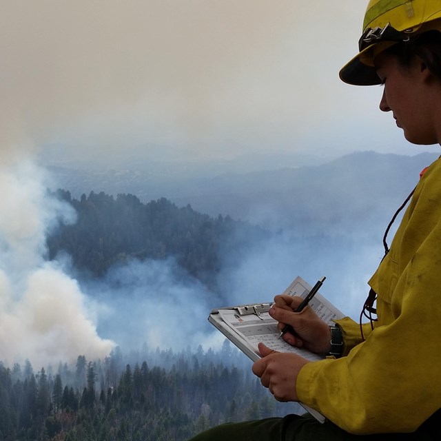 A scientist records a smoke observation