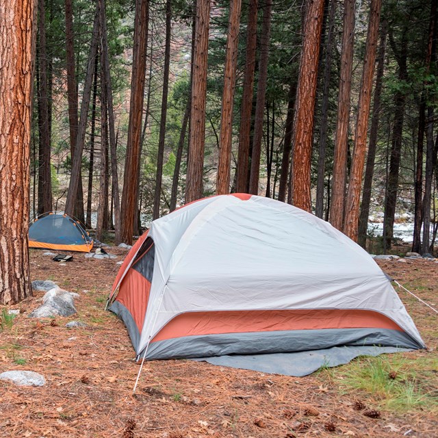 Camping Sequoia Kings Canyon National Parks U S National Park Service
