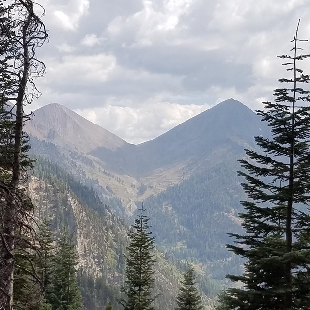 Conifer trees and the v-shaped Farewell Gap pass in the background, Mineral King