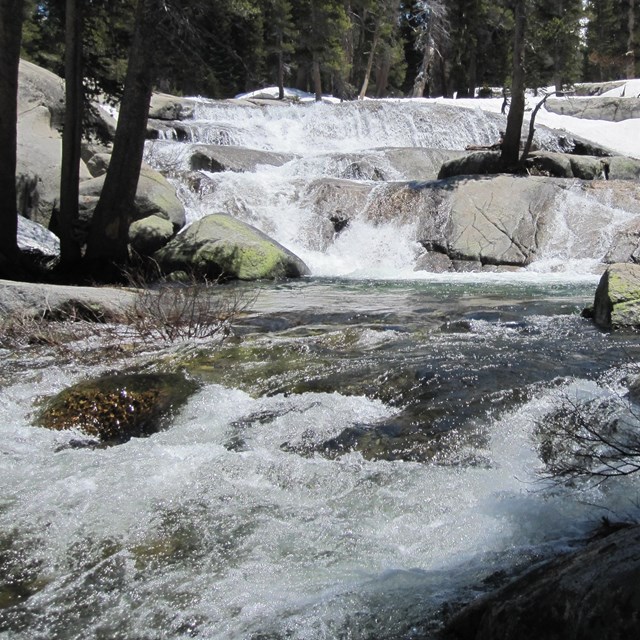 Marble Fork of the Kaweah River.