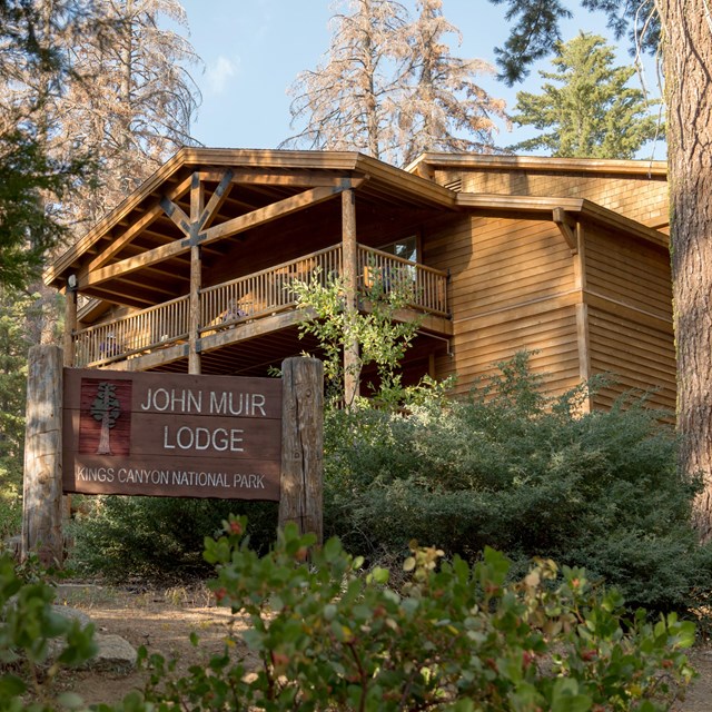 Wuksachi Lodge in summer