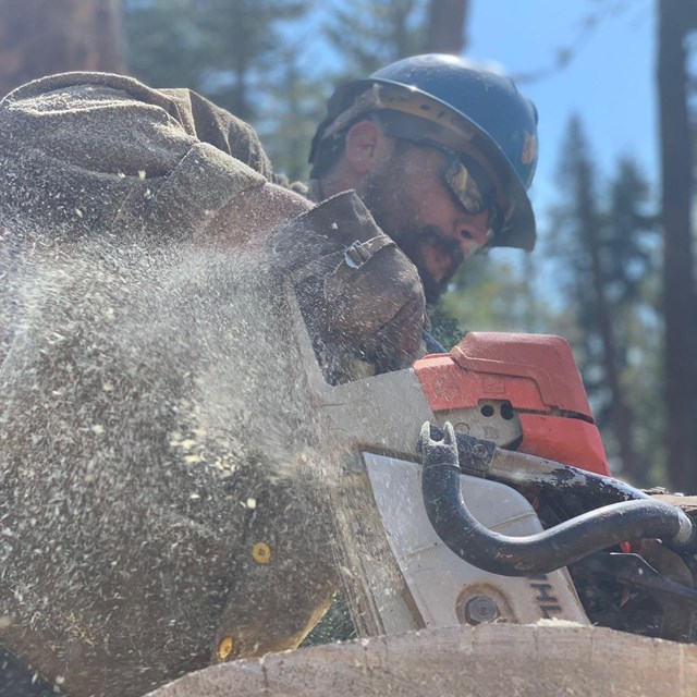 A man wearing sunglasses and a hard hat running a chainsaw that is spraying sawdust  