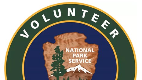 Logo with a NPS arrowhead in inside a blue circle which reads "Volunteer".