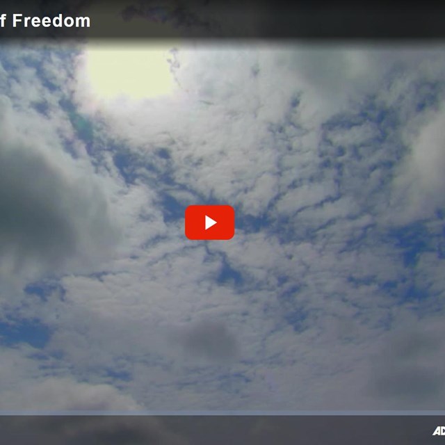The image for the video Never Lose Sight of Freedom.