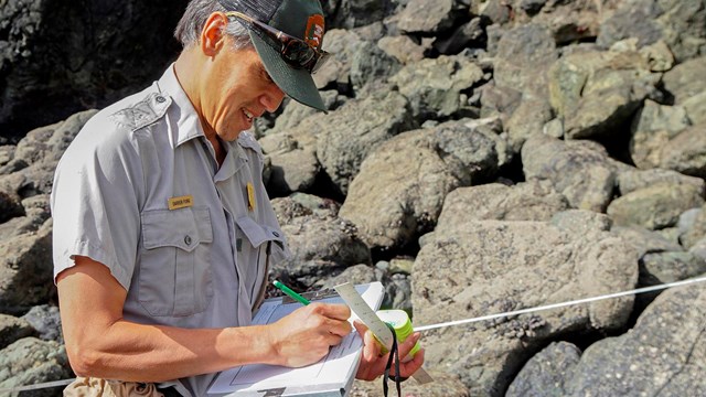 Scientist records observations in the field