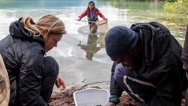 Researchers collect data near a lake.