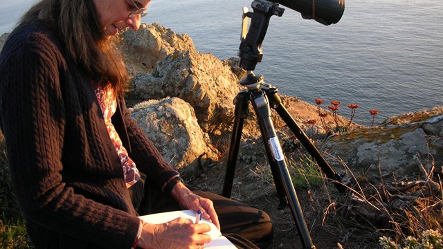 Researcher records observations next to a scope set up by the Pacific ocean
