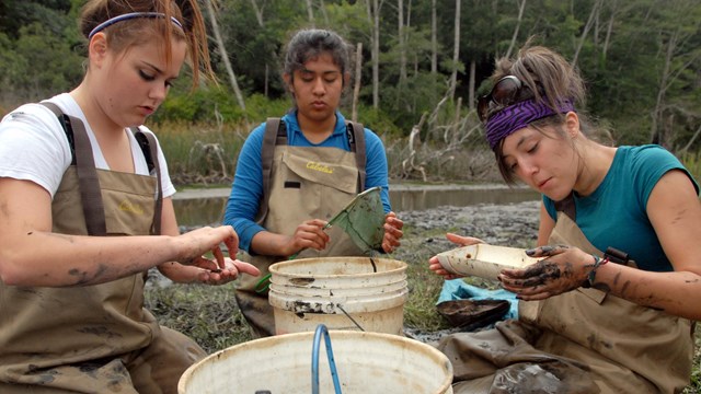 Researchers measure fish next to a stream.