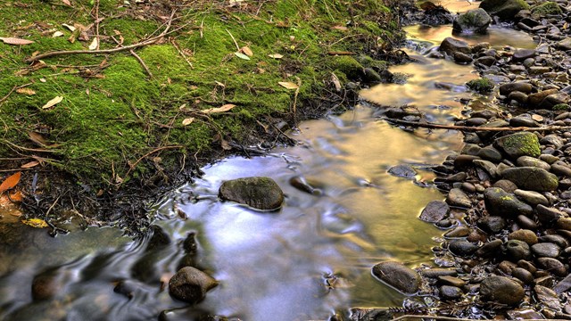 Close up of water flowing through a creek.