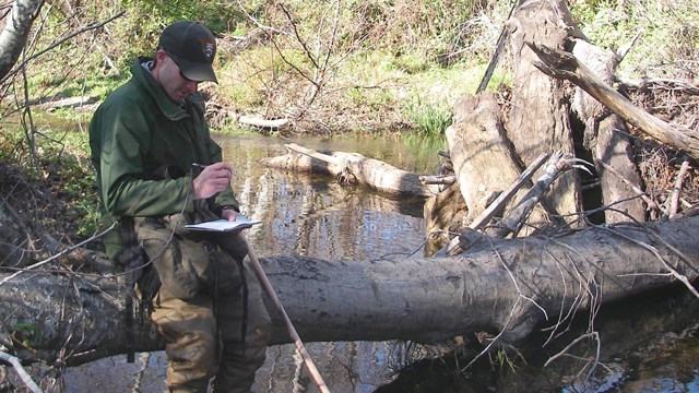 A National Park Service fish biologist writes notes while surveying in a creek
