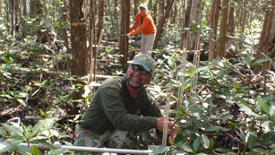 Scientist taking soil measurements in a forest
