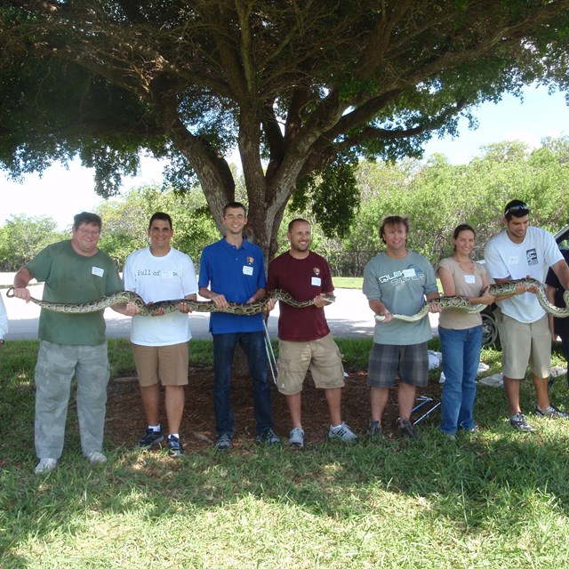 Scientists holding two snakes