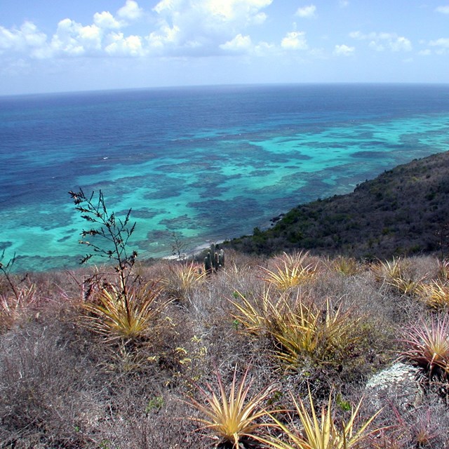 View of coral reefs in the ocean from a hillside