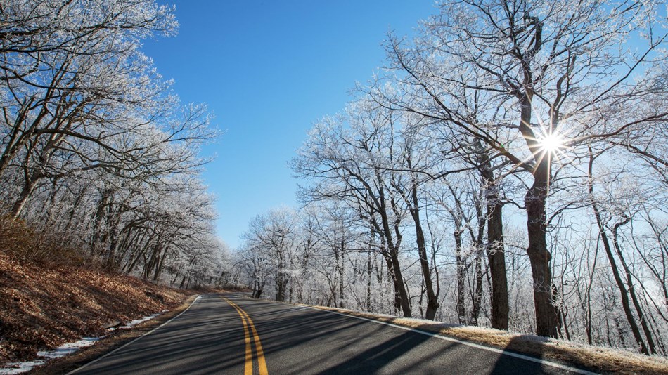 The sun shines through bare trees covered with snow on the side of a paved, mountain road.