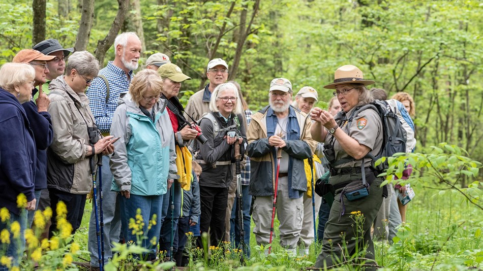 A Ranger discusses wildflowers to a group of visitors in a bright green spring forest.