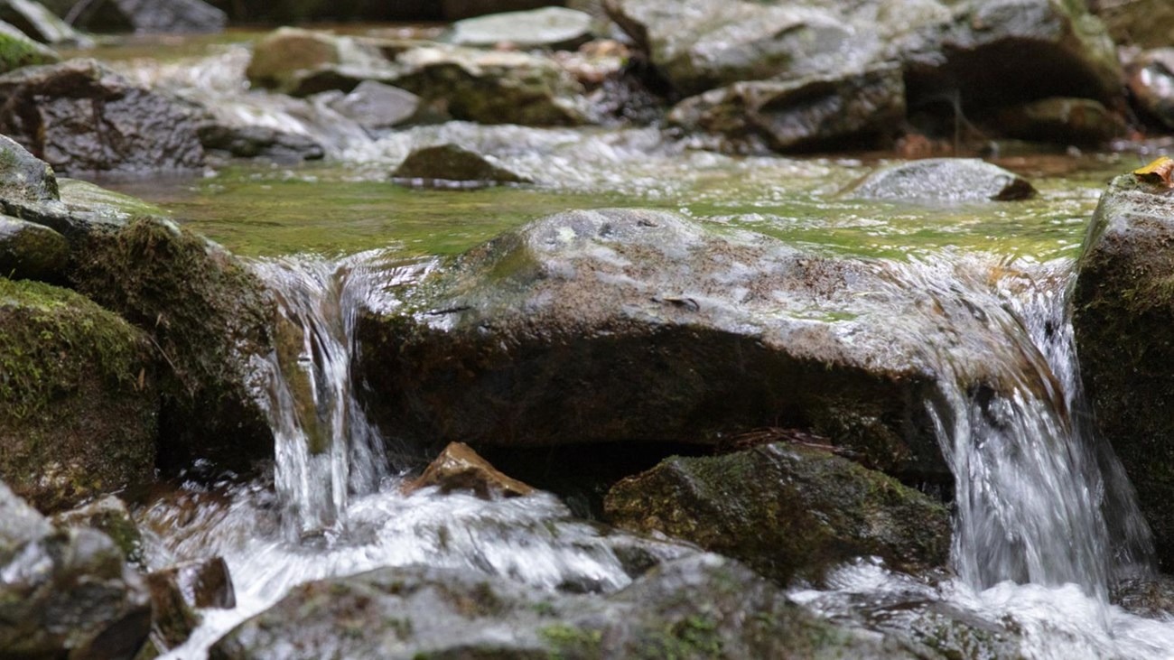 Clear water flows over rocks in a mountain stream.