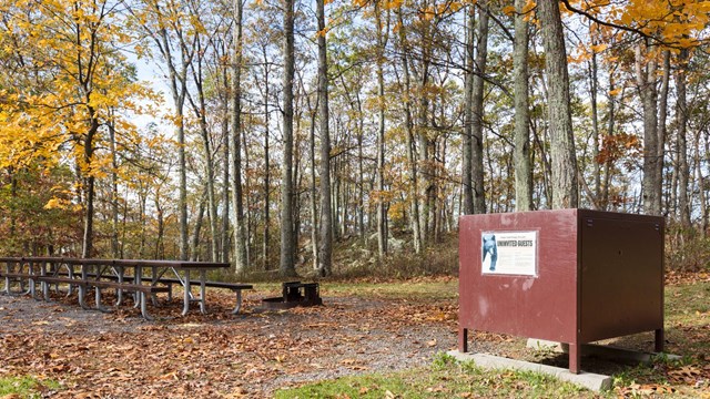A brown metal box sits in front of a row of picnic tables in the woods.