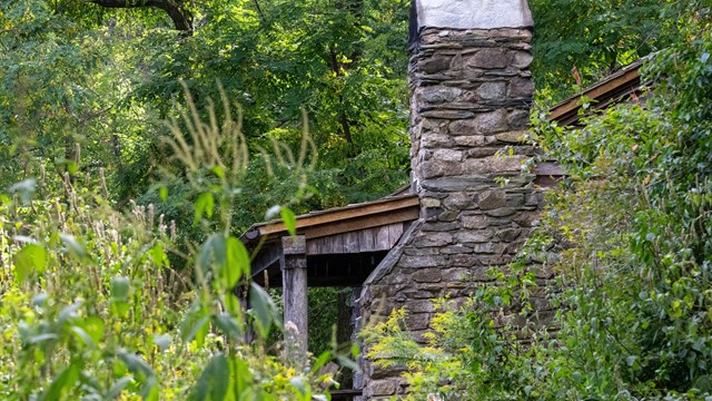 the stone porch and chimney of a cabin are barely visible above tall green grass down a short path