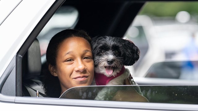 A visitor with her dog in a car 