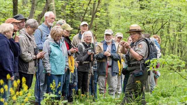 Ranger leading a group of visitors through a bright green forest. 