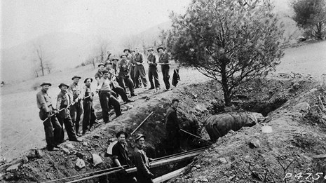 A black-and-white, historic photograph of a group of teenage boys lowering a tree into the ground.