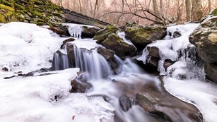 An ice covered waterfall with a bridge in a forest.