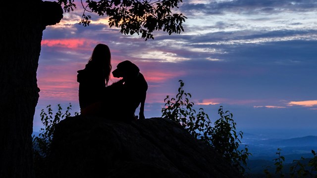 A silhouette of a dog and a woman sitting on top of a rock against a purple and red sunrise.
