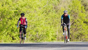 A woman and a man bicycle on a paved road through a green forest.