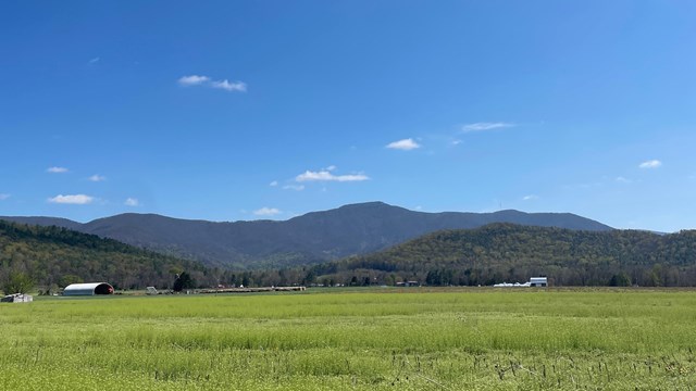 A field leading to Blue Ridge Mountains