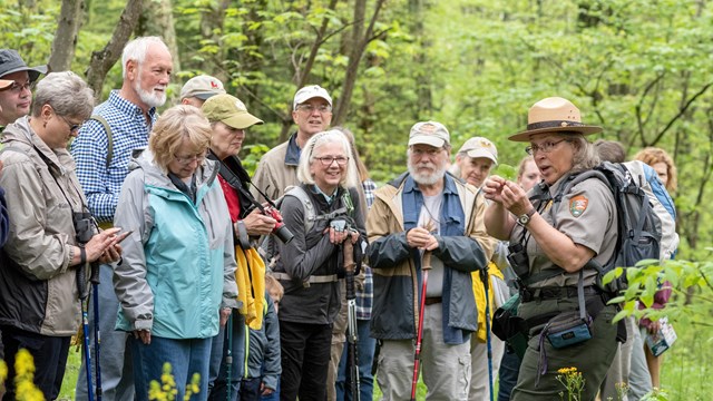 A group of visitors on a wildflower walk gathered around a ranger.