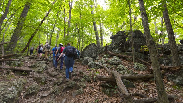 Hikers on Lewis Falls Trail