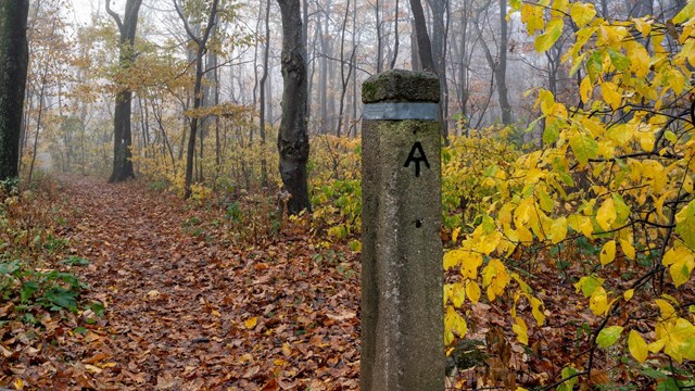 An arrow on a post indicating the Appalachian Trail