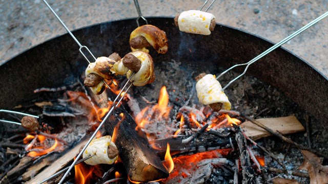 Pigs in a blanket and marshmallows roasting over a campfire.
